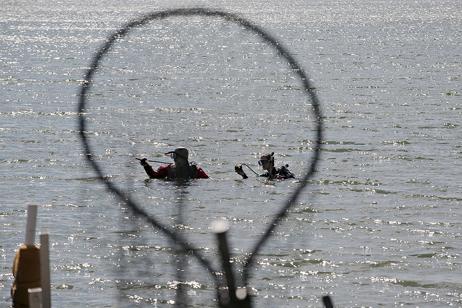DNR divers
