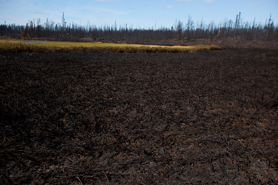 Burned BWCA