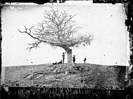 Larger view