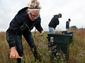 Prairie harvest