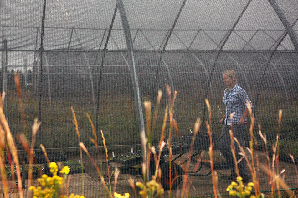 Greenhouse manager