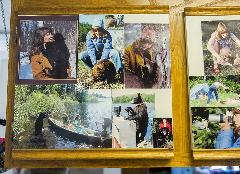 Bear snapshots