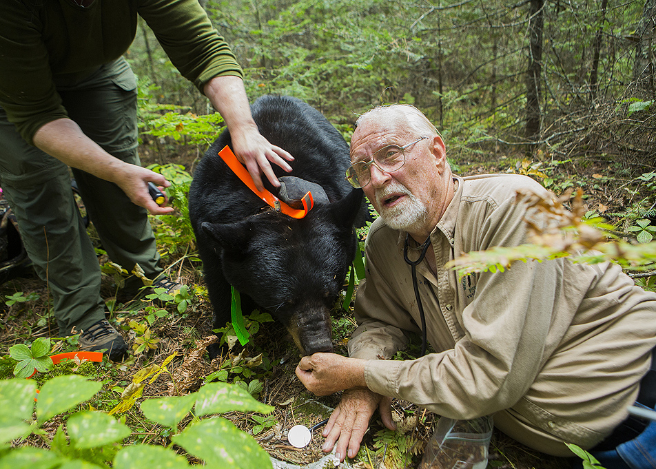 Rogers feeds June by hand