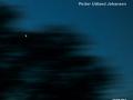 Arianna Savall/Petter Johansen - Hirundo Maris