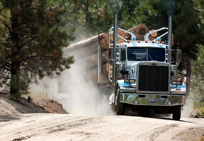 Image result for logging truck