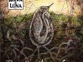 Roma di Luna - Then the Morning Came