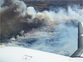 Wildfire