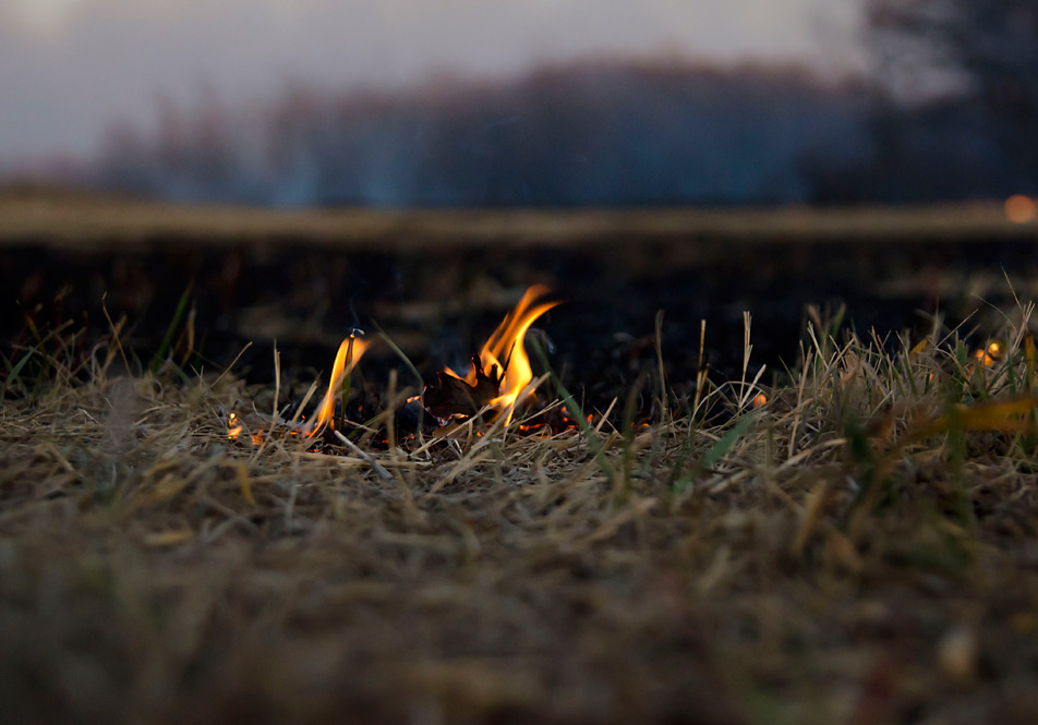 Fire