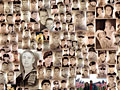 Portraits of casualties