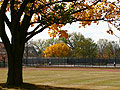 Larger view