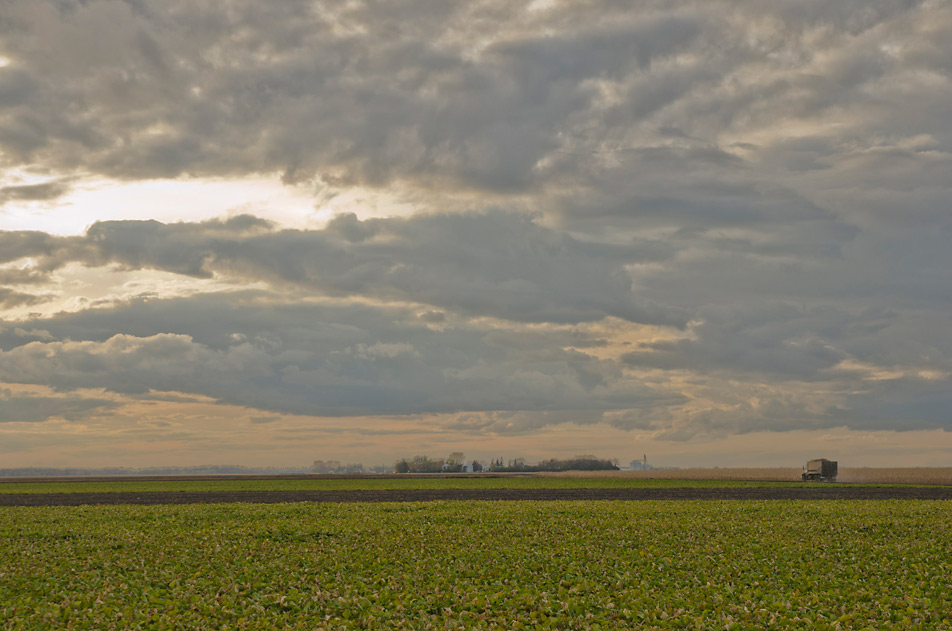 Truck leaves field