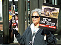 Wolf hunt protest