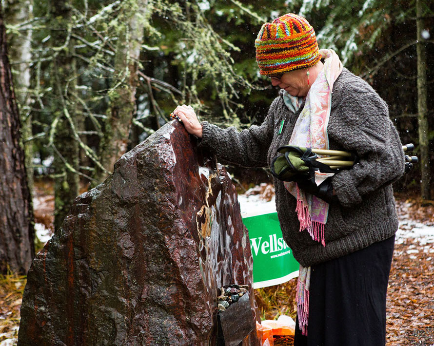 Wellstone admirer