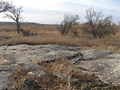 Larger view
