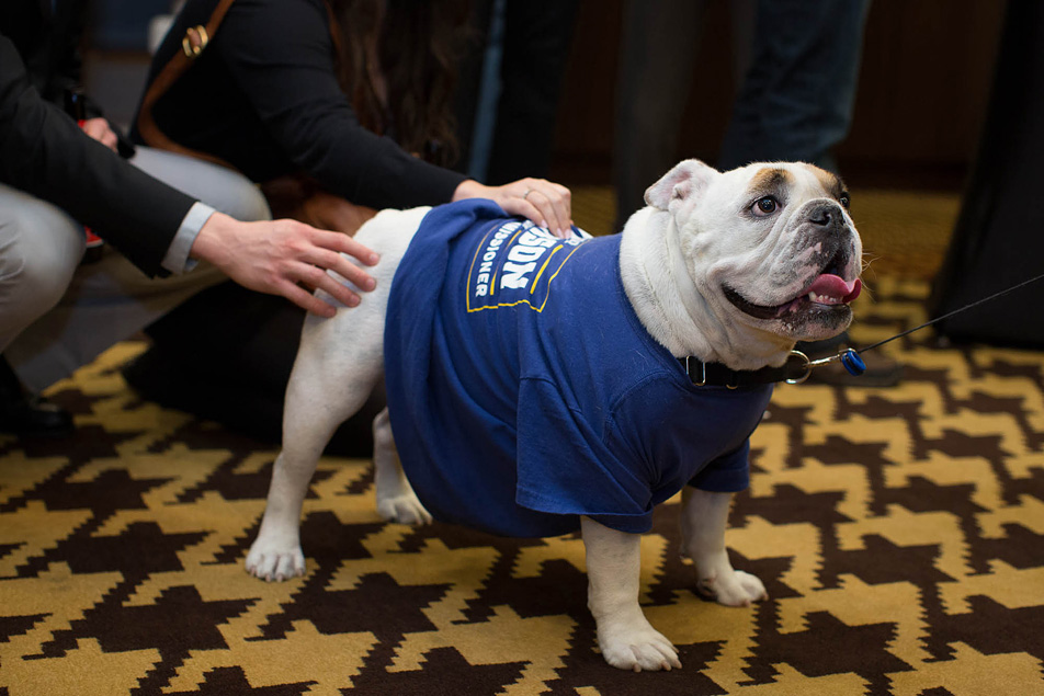 Republican party headquarters dog