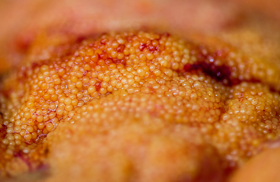 Herring eggs