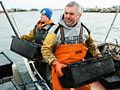 Hauling herring