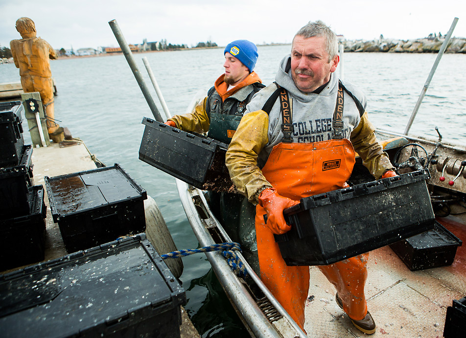 Hauling herring