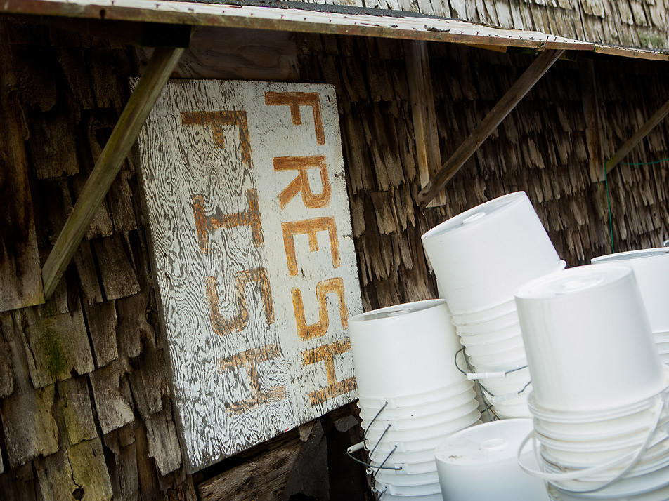 Fresh fish