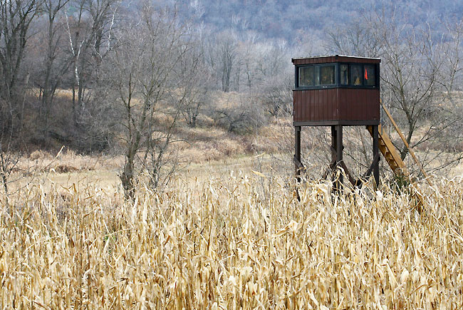 Homemade Deer Stands