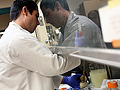Preparing fecal bacteria