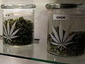 Marijuana