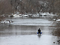 FBI dive team