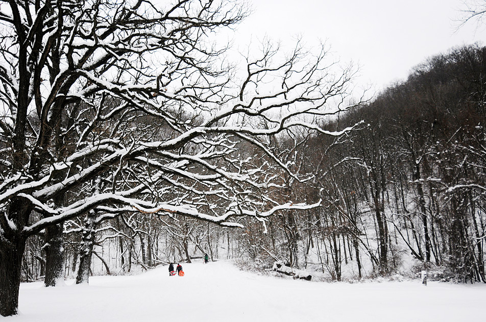 Sledding