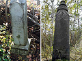 Larger view