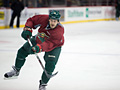 Minnesota Wild