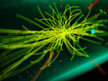 Collision of particles