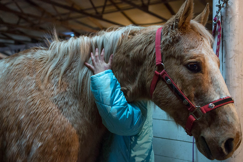 Photos Heartland Girls Ranch Minnesota Public Radio News