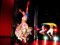 Contempo Physical Dance