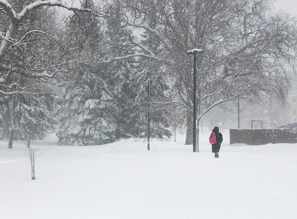 Fargo snow