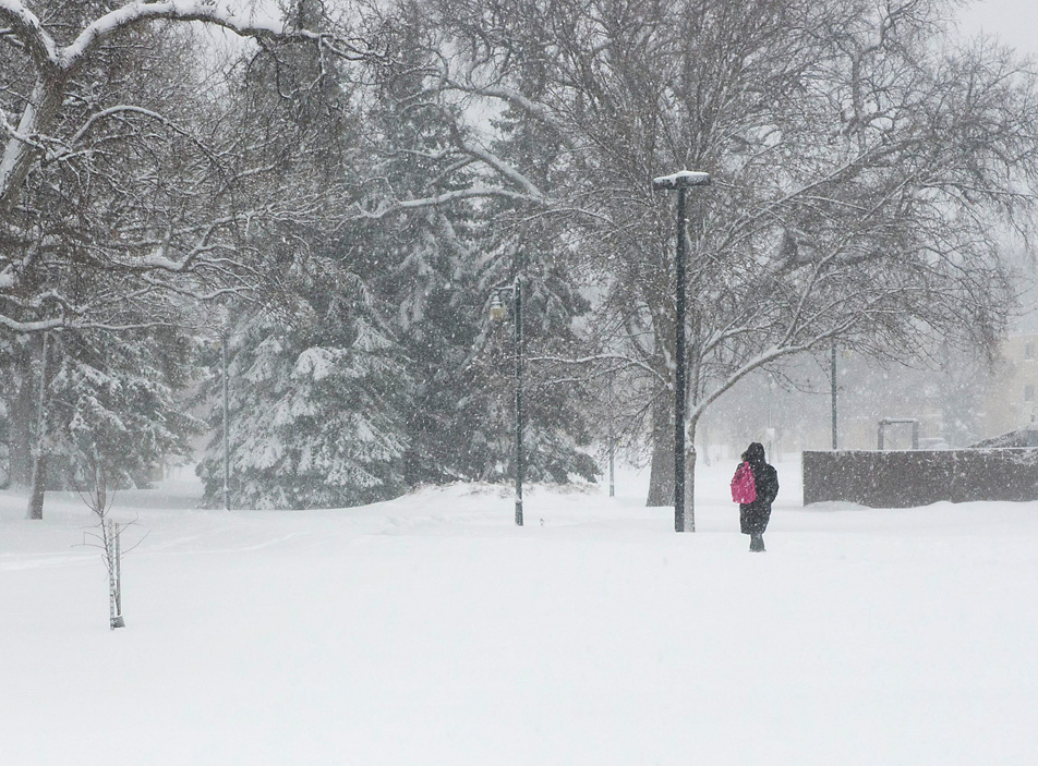 Island Park walk
