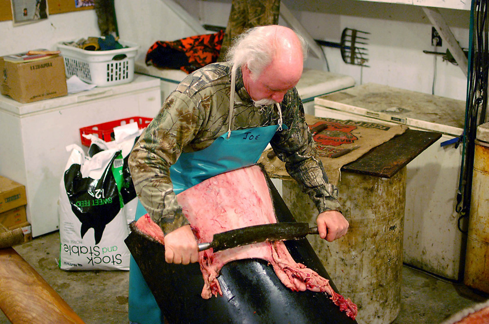 Cleaning beaver pelt