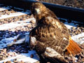 Larger view
