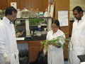 Nanoparticle research
