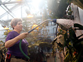 Watering plants