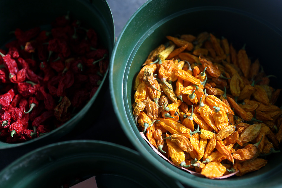 Drying peppers