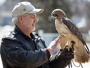 Falconer