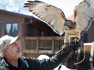 Falconer