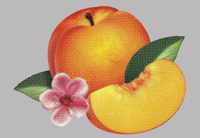 Phoenix - Bankrupt!