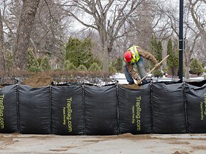Filling bags