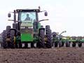 Planting