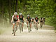 Almanzo 100