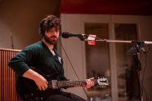 Foals