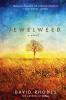 Kerri's book pick, 'Jewelweed,' joins the Midwestern Literature shelf