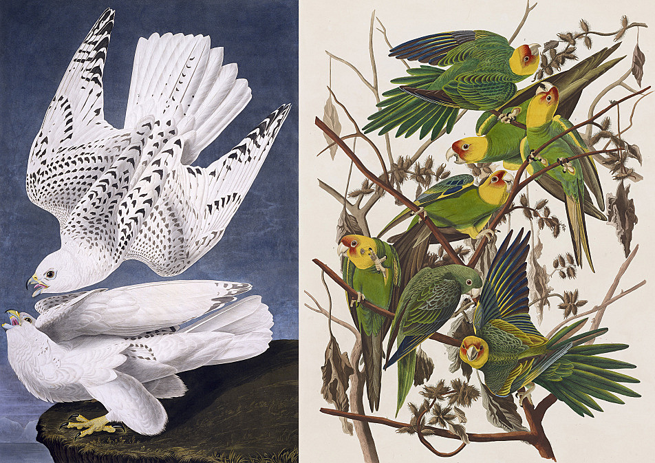 John James Audubon Natural History Museum John James Audubon Natural History Museum