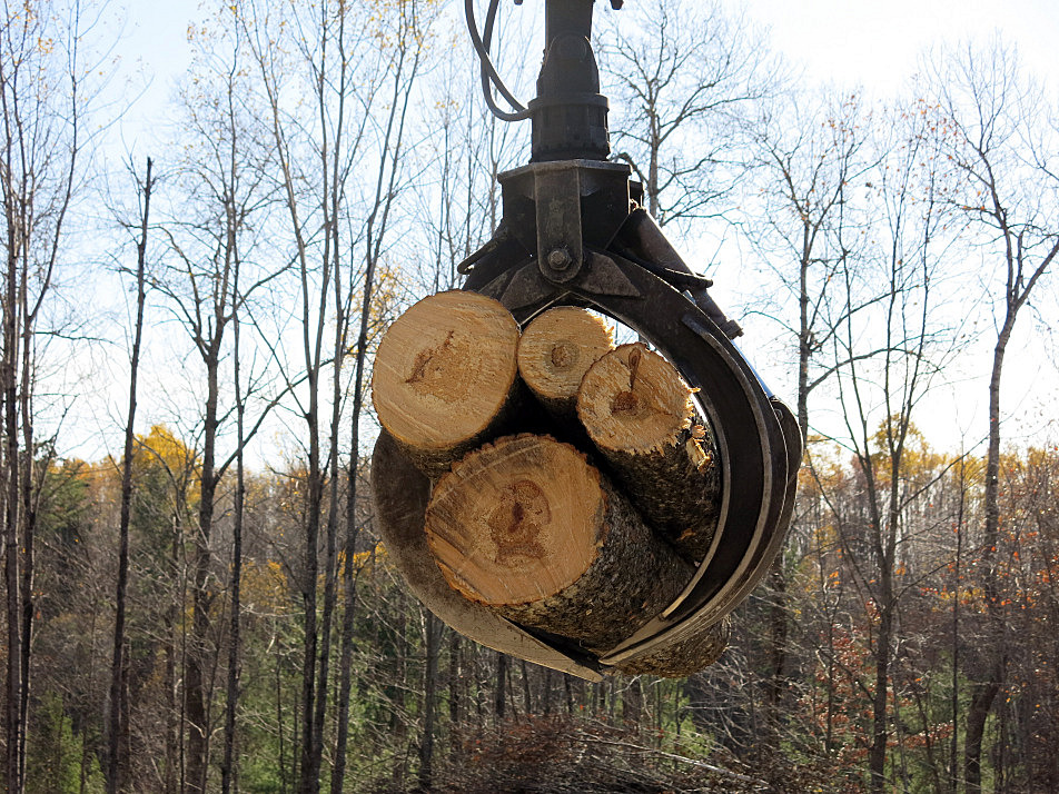 Firewood a hot commodity as rural Minnesotans ready for winter